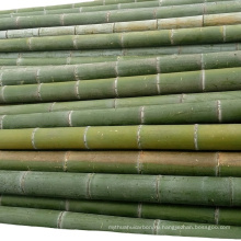 Колья завода столбов хорошего качества естественные сильные бамбуковые прочные для сада